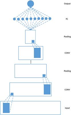 deepDriver: Predicting Cancer Driver Genes Based on Somatic Mutations Using Deep Convolutional Neural Networks